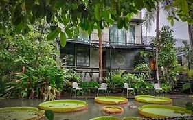 กระจิบ เบดแอนด์เบรคฟาสต์